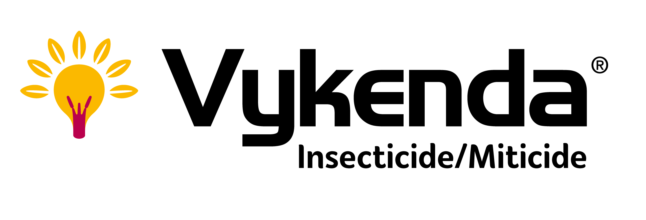 Vykenda